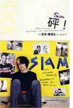 砰！（SLAM）：带你进入未婚怀孕的世界